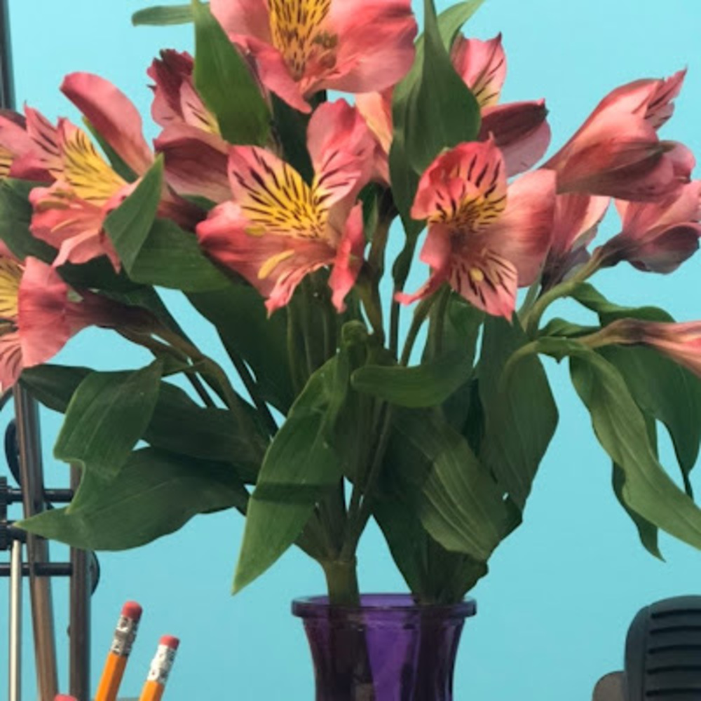 Meet your Posher, Lorielle